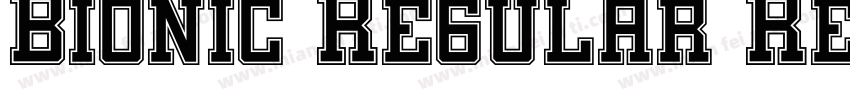 Bionic Regular Regu字体转换
